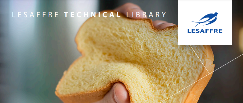 L’analyse sensorielle au service de la panification