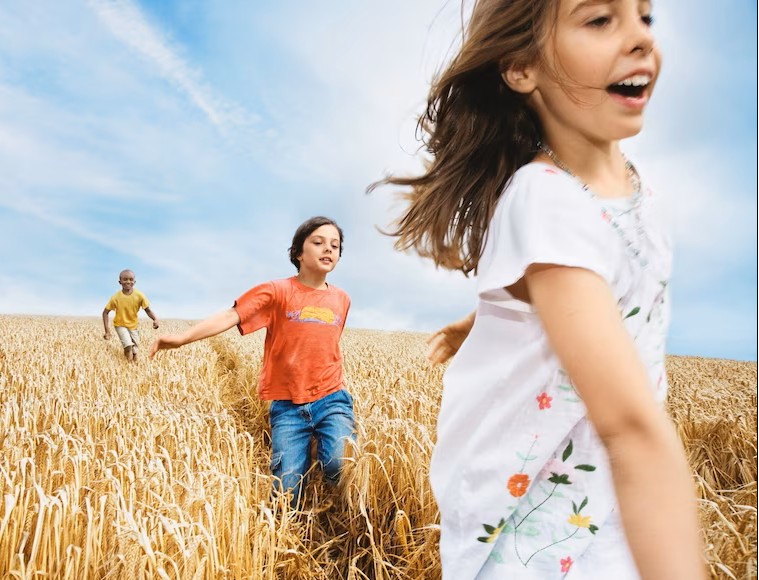 Nous stabilisons les farines issues de la nouvelle récolte de blé