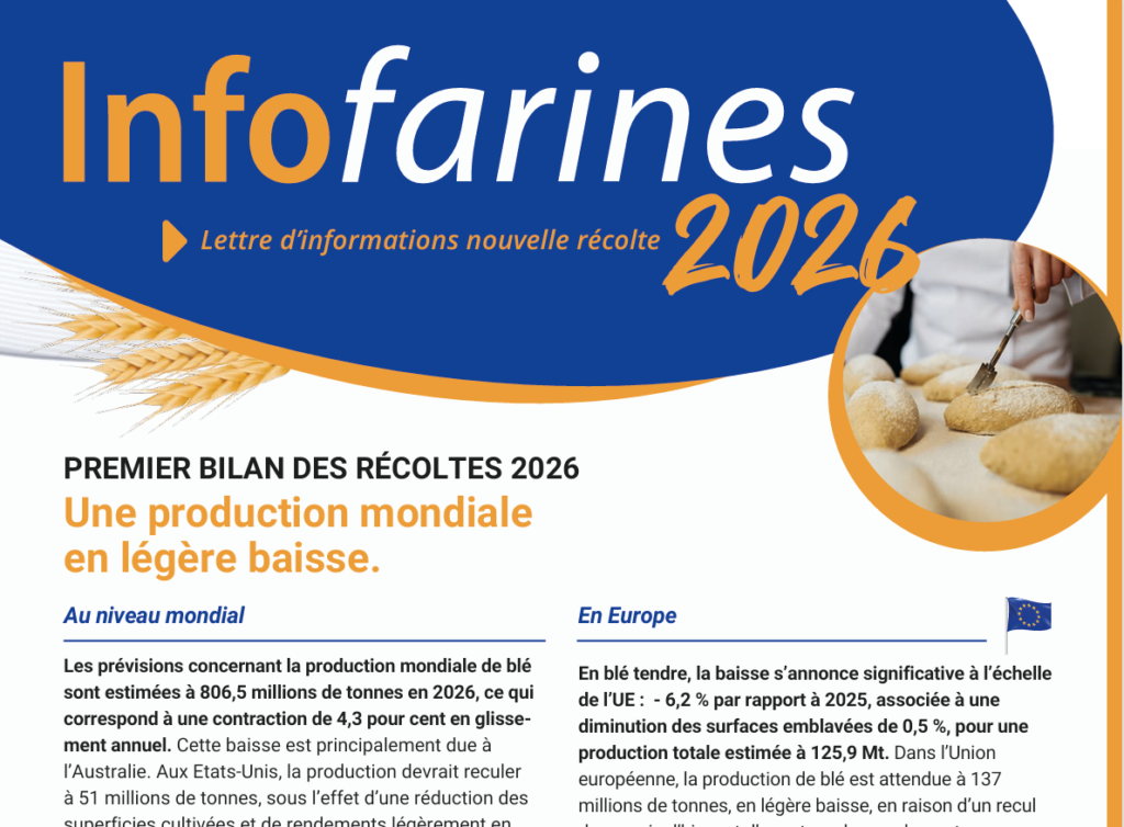 Info Farines 2026 : Les nouvelles récoltes